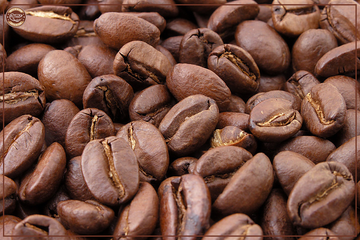 Coffee Beans